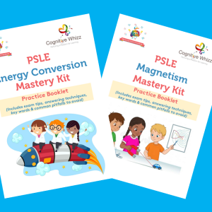 PSLE Core Concepts Bundle (Magnetism + Energy Conversion)