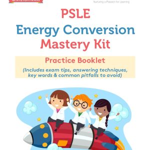 PSLE Energy Conversion Mastery Kit