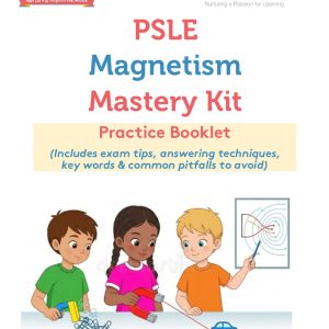 PSLE Magnetism Mastery Kit